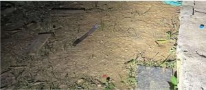 Homem é preso por lesão corporal grave após briga com facão em Rio do Sul