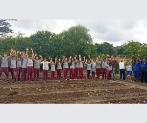 Estudantes de Pouso Redondo participam de projeto de horta escolar