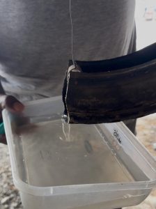 Ituporanga registra casos de dengue