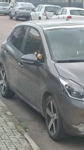 O ChatGPT disse: Suspeita de bomba mobiliza forças de segurança no bairro Taboão, em Rio do Sul