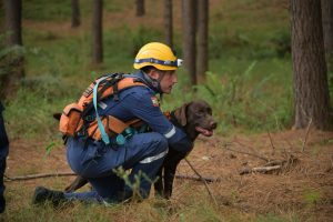 CBMSC realiza premiação da Certificação Nacional de Cães de Busca e Resgate em Lages