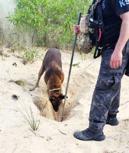 Em operação policial com cão de faro, Polícia Civil localiza corpo de mulher em área de dunas de Balneário Rincão