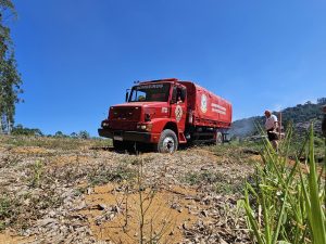 Incêndio em vegetação atinge 5 mil metros quadrados em Presidente Getúlio