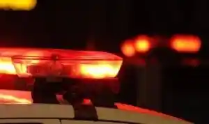 Corpo é encontrado em mata às margens da BR-470 em Gaspar