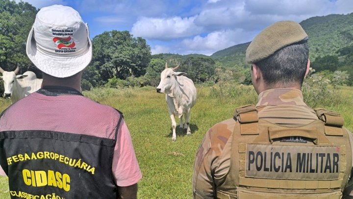 PMSC e Cidasc verificam propriedades rurais e veículos para prevenir a Farra do Boi