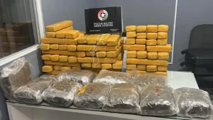 Casal é preso com 65 kg de maconha em Corupá