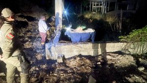 Polícia Militar resgata animal envolvido em Farra do Boi em Bombinhas
