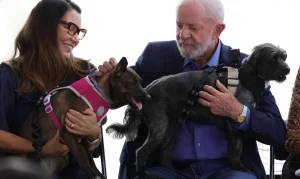 Governo Federal lança programa de identificação e proteção de cães e gatos