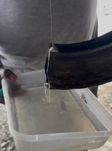 Rio do Sul registra 13 casos de dengue em 2025