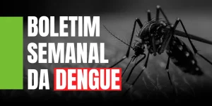 Secretaria Estadual registra a terceira morte por Chikungunya em Santa Catarina