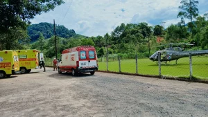 Caminhoneiro fica ferido após colidir contra árvore na BR-470, em Rodeio