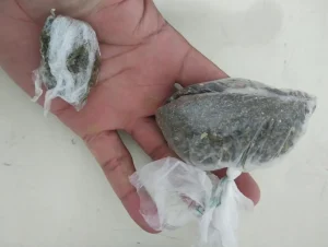 Polícia Militar prende homem por tráfico de drogas em Gaspar