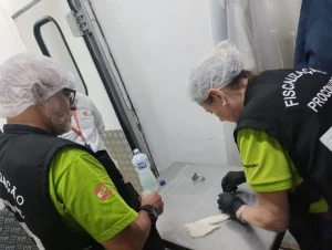 Com apenas uma irregularidade encontrada, análise de DNA de peixes confirma alta confiabilidade do mercado de pescado em Santa Catarina