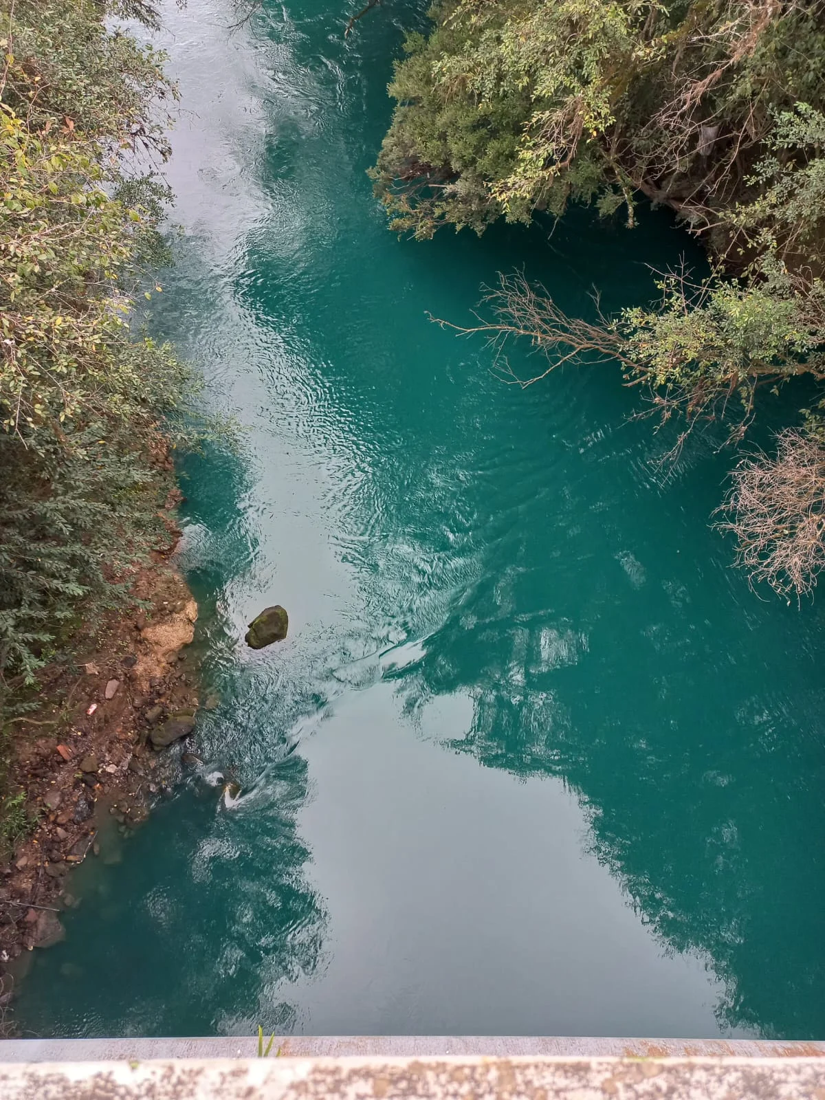 “Água colorida”: prefeitura de Otacílio Costa investiga possível contaminação em rio do município