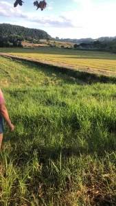 Corpo é encontrado em Rio do Oeste