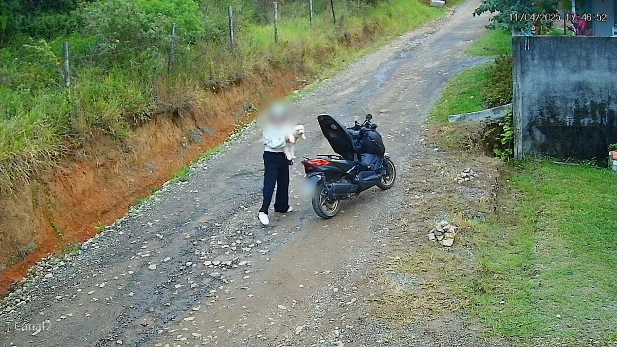 Vídeo mostra cão correndo atrás de moto após ser abandonado por mulher em SC