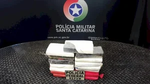 Cocaína escondida em contêiner é apreendida antes de embarque para a Europa