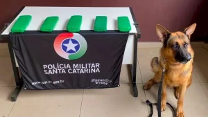 Polícia Militar apreende maconha em carro abandonado