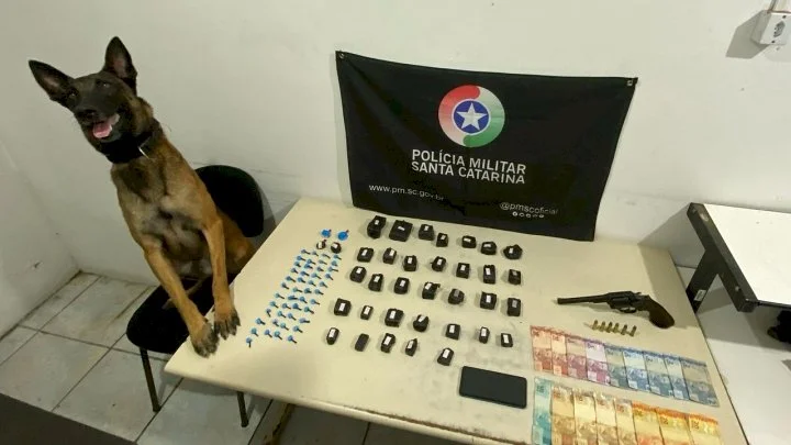 K9