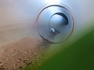 BOMBEIROS RESGATAM FILHOTES PRESOS EM TUBULAÇÃO EM MONTE CASTELO