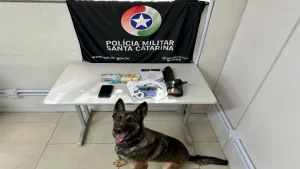 Tentativa de despistar PM termina em prisão por tráfico de drogas em Xaxim