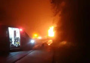 Caminhão com porcos tomba, pega fogo e motorista morre carbonizado na BR-282