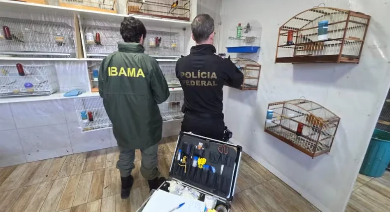 Operação cumpre mandados em SC e outros três estados contra tráfico internacional de animais