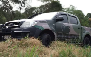 Força tarefa combate desmatamento ilegal em área de mata atlântica em Santa Terezinha