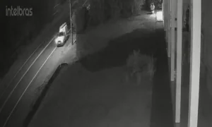 Morador flagra tentativa de furto de cabos de fibra óptica e aciona a polícia, em Ibirama