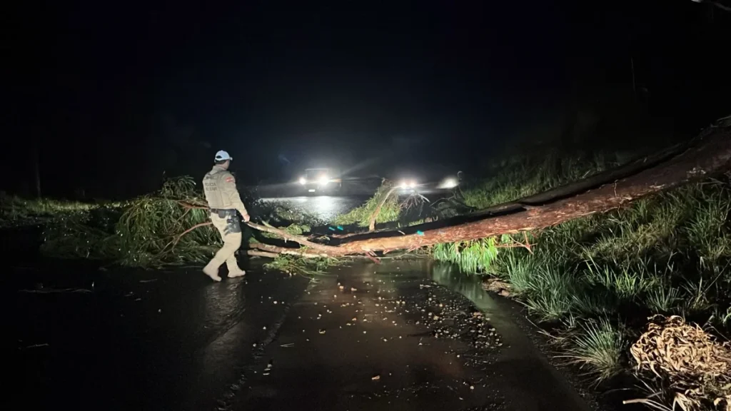 Temporais causam estragos em SC; duas pessoas morreram após serem atingidas por árvores
