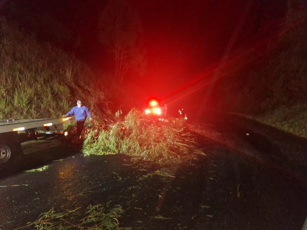 Temporais causam estragos em SC; duas pessoas morreram após serem atingidas por árvores