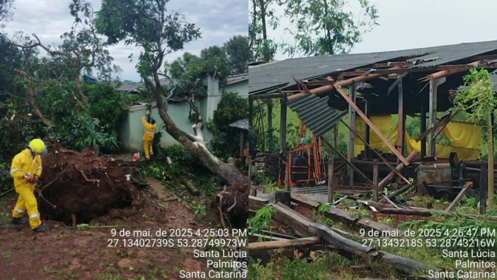 Município catarinense decreta situação de emergência após ter sido atingido por tornado