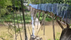 Ponte