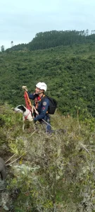 Cachorro é resgatado depois de ficar seis dias preso em penhasco em Urupema