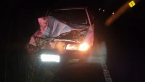 Avô e netos ficam feridos após atropelarem bovino na SC-390, na região serrana