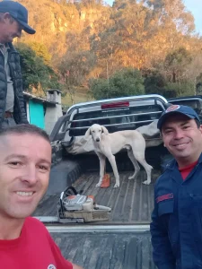 Cão é resgatado após cair em penhasco e ficar preso a 50 metros de altura