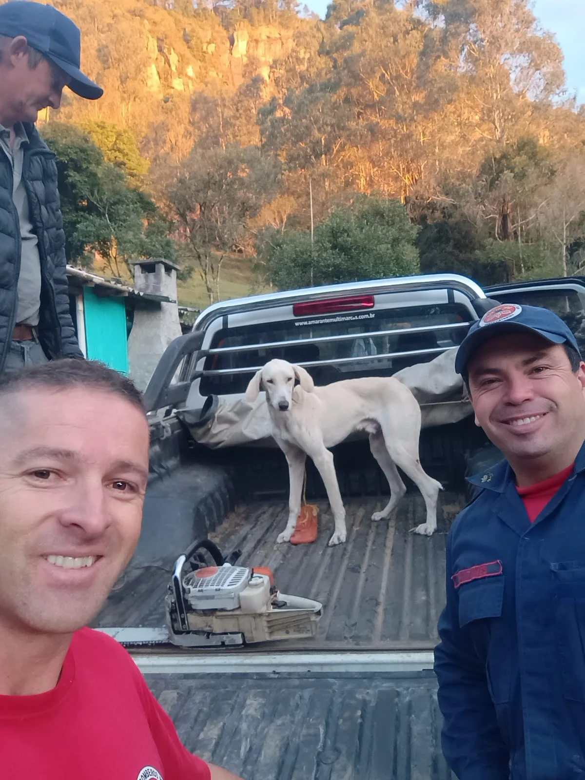 Bombeiros resgatam cão que caiu em penhasco e estava preso à 50 metros de altura