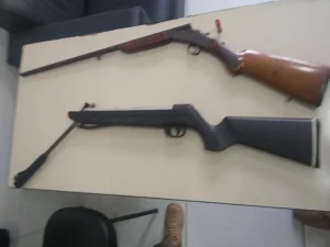 Homem de 61 anos é preso após disparar espingarda de pressão contra casa da ex-companheira