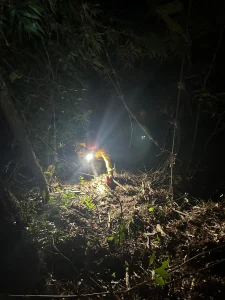 Bombeiros resgatam boi que caiu em ribanceira no interior de Ituporanga