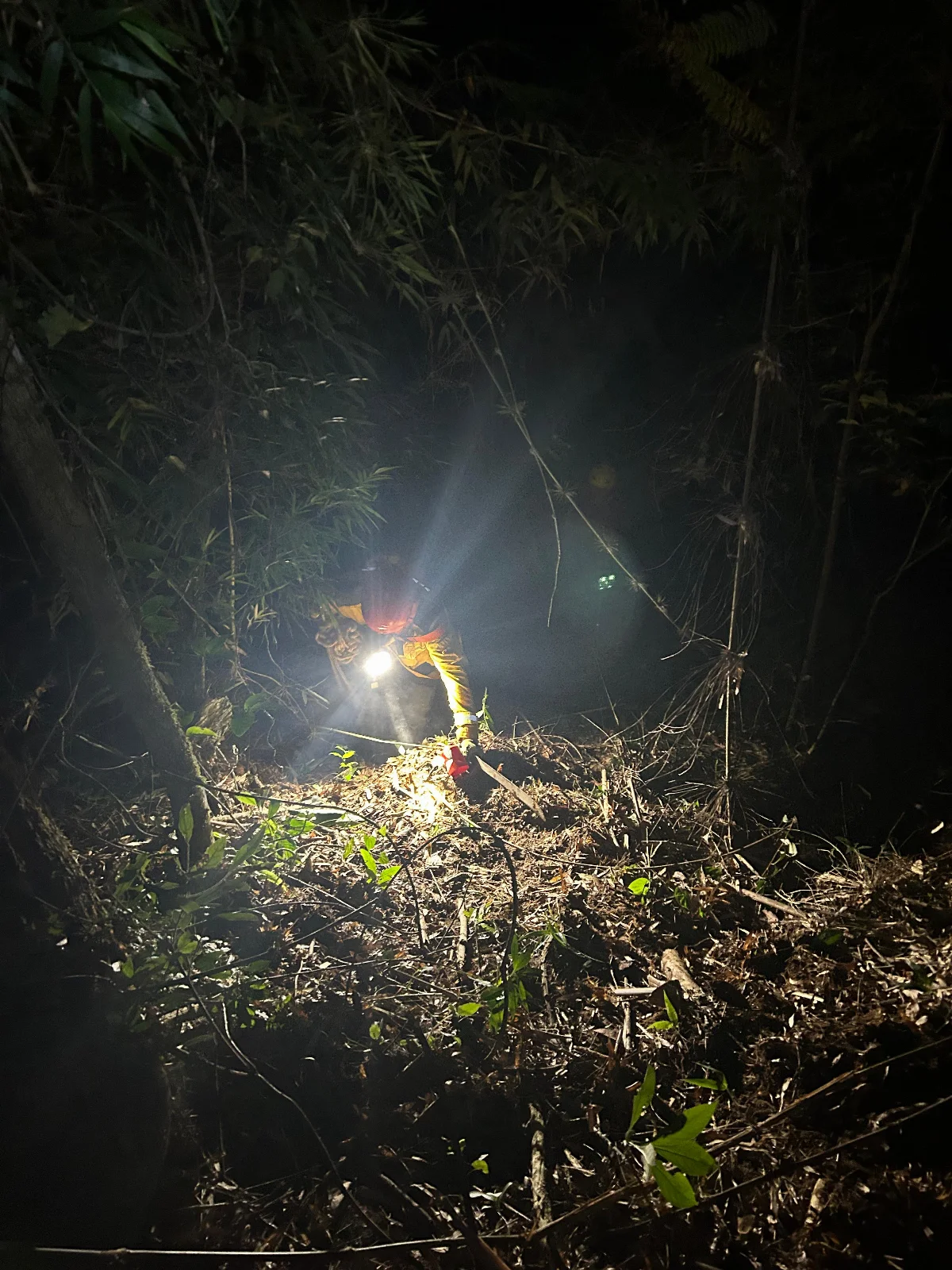 Bombeiros resgatam boi que caiu em ribanceira no interior de Ituporanga