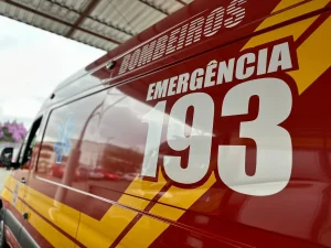 Incêndio destrói galinheiro e mata pintinhos no Meio-oeste de SC