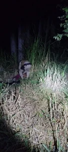 Homem é preso por tentativa de feminicídio e tentativa de estupro em Lontras