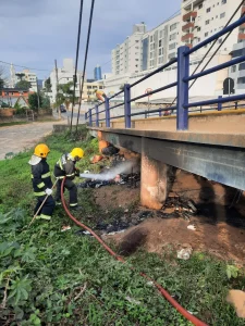 Bombeiros combatem incêndio debaixo da cabeceira da ponte Viriato Alves Garcia
