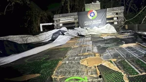 Cinquenta mil maços de cigarros contrabandeados são apreendidos em Descanso