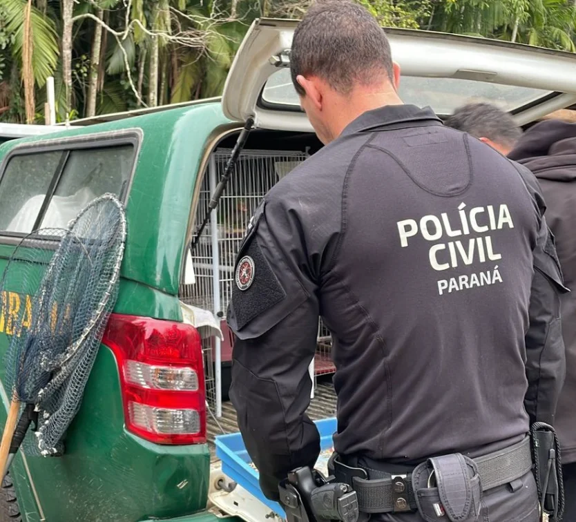 Polícia apreende animais silvestres em Ascurra; operação mira um dos maiores grupos de tráfico do país