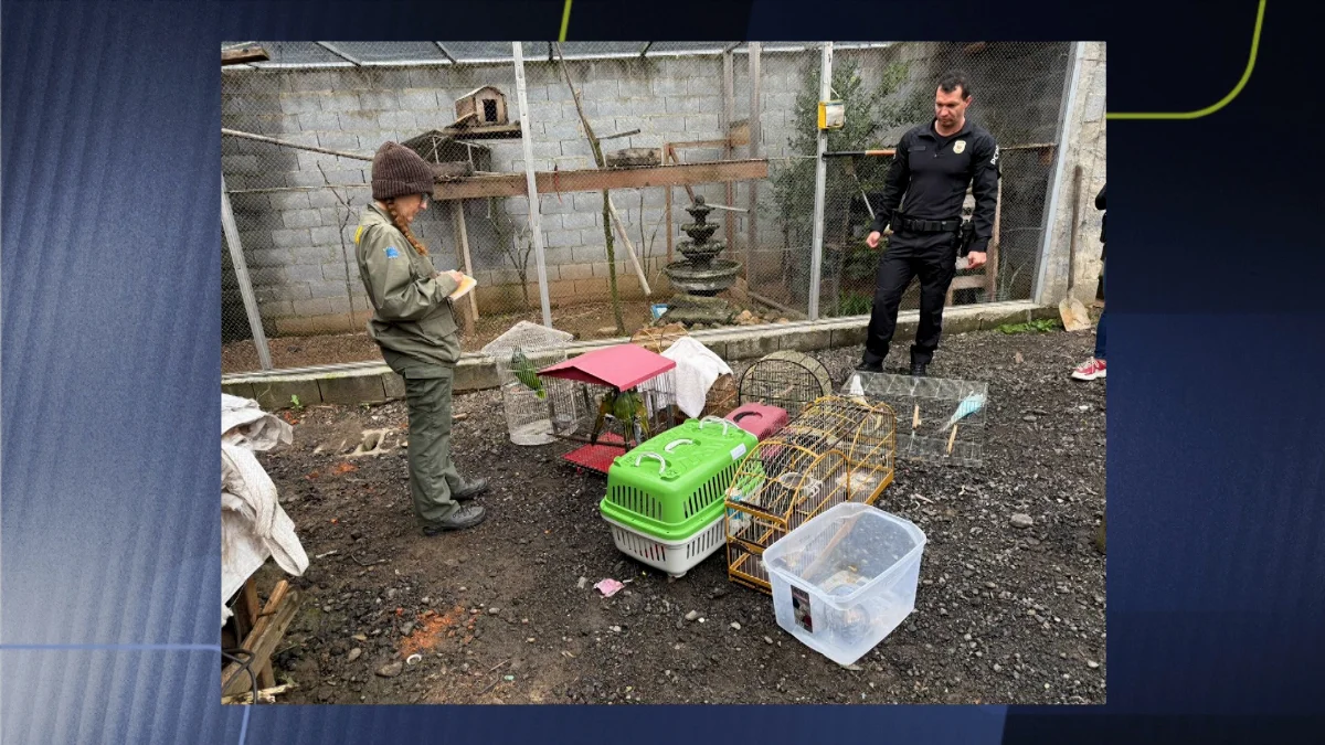 Polícia Civil deflagra operação contra tráfico internacional de animais silvestres