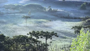 Inverno 2025 começa com previsão de frio intenso, geadas, nevoeiros e possibilidade de chuva no litoral de SC