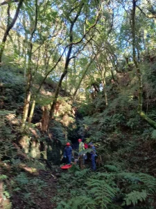 Idoso morre após cair em ribanceira em área de mata fechada