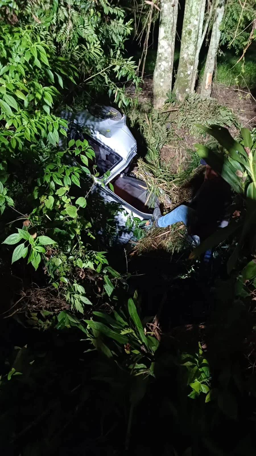 Motorista de 20 anos fica ferido após carro cair em ribanceira em Salete