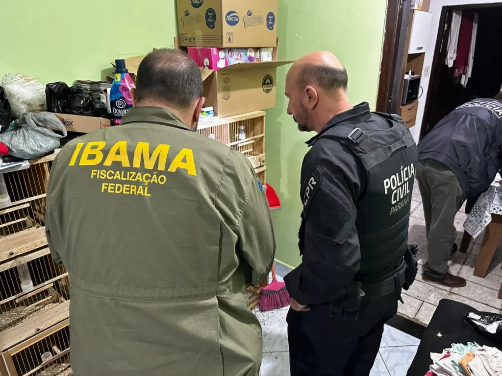 Polícia apreende animais silvestres em Ascurra; operação mira um dos maiores grupos de tráfico do país